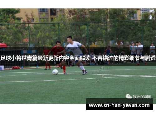 足球小将世青篇最新更新内容全面解读 不容错过的精彩细节与剧透